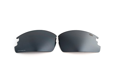 Gray Silver delicate SpinChange - 6015 lenses for model